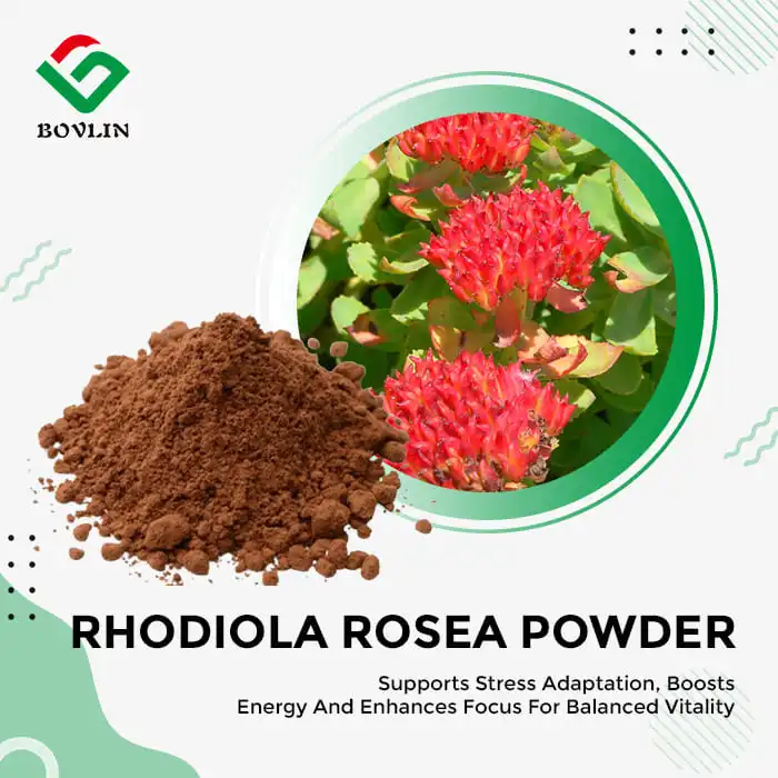Rhodiola Rosea Extract Powder
